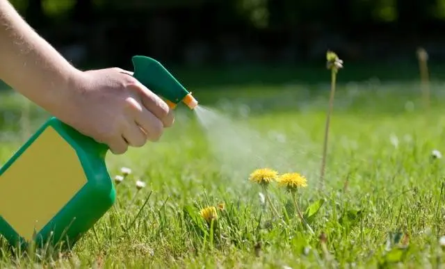 Lawn weed killer 