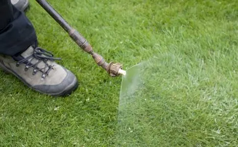 Lawn weed killer 