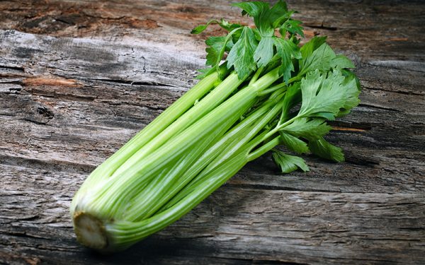 Leaf celery: cultivation and care in the open field