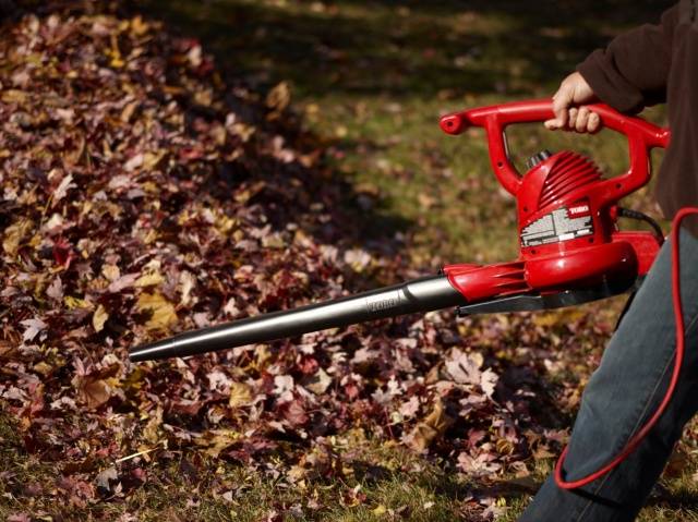 Leaf cleaning