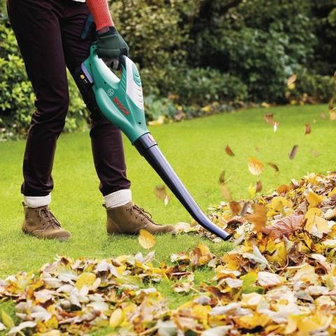 Leaf cleaning