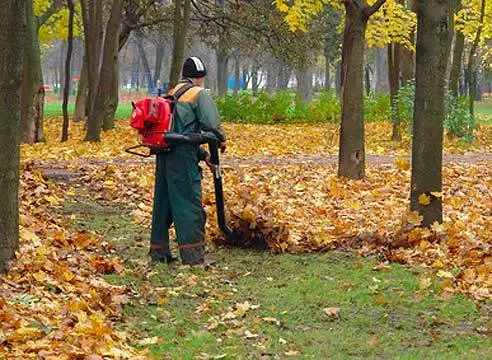 Leaf vacuum cleaner