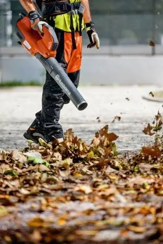 Leaf vacuum cleaner