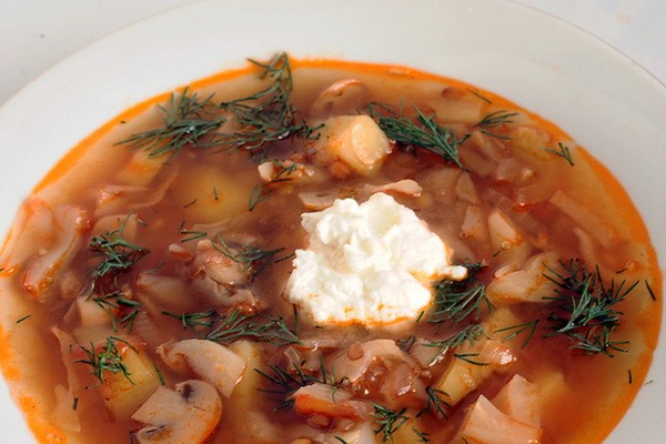 Lean cabbage soup with mushrooms: easy recipes