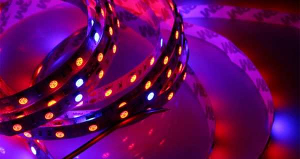 LED strip for plants: benefits and benefits of application + do-it-yourself lighting assembly, user reviews