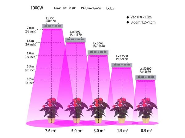 LED strip for plants: benefits and benefits of application + do-it-yourself lighting assembly, user reviews