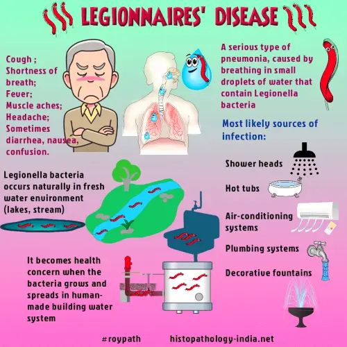 Legionella causes legionellosis