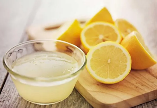 Lemon juice: recipes at home