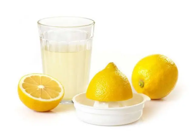 Lemon juice: recipes at home