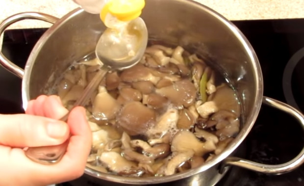 Lemon oyster mushroom (Ilmaki): how to cook for the winter, growing in the country