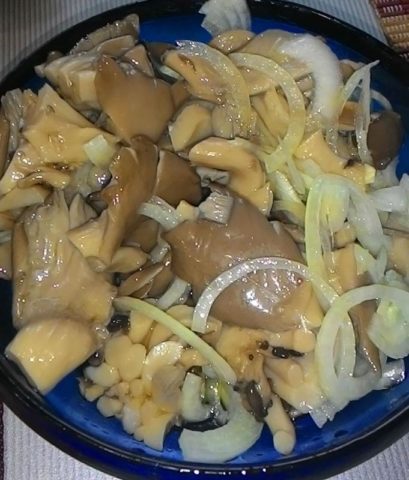 Lemon oyster mushroom (Ilmaki): how to cook for the winter, growing in the country