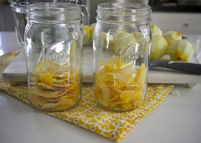 Lemon tincture: on vodka, on alcohol