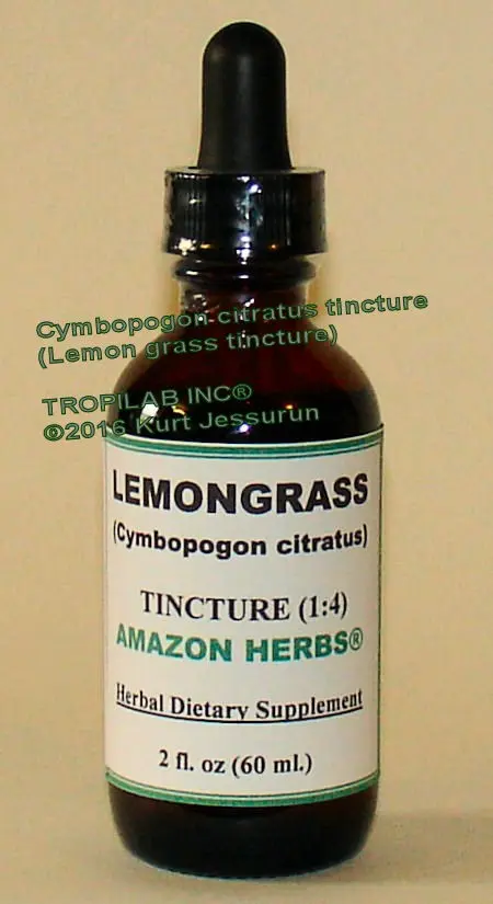 Lemongrass seed tincture: instructions for use