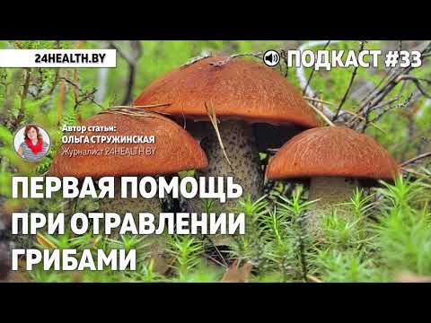 Lepiota poisonous mushroom: description and photo