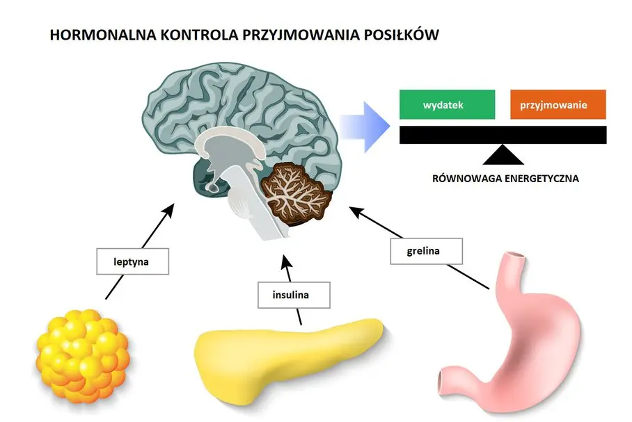 Leptyna