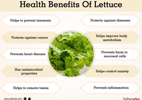 Lettuce &#8211; nutritional values, properties and types