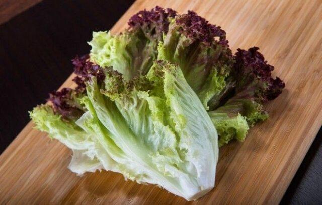 Lettuce: photo, description, cultivation, useful properties, application