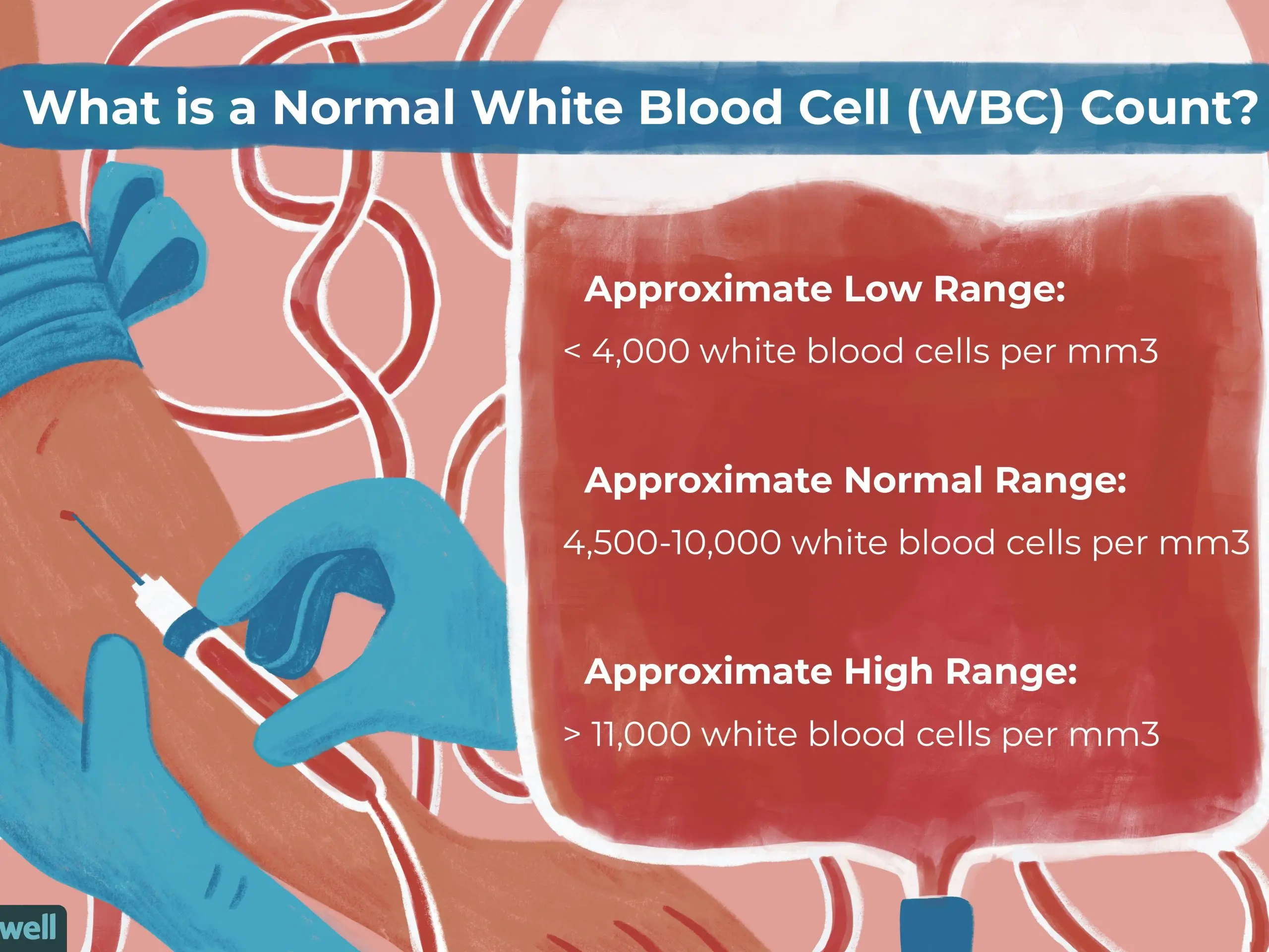 Leukocytes. When to do the test? What do the results show? [WE EXPLAIN]