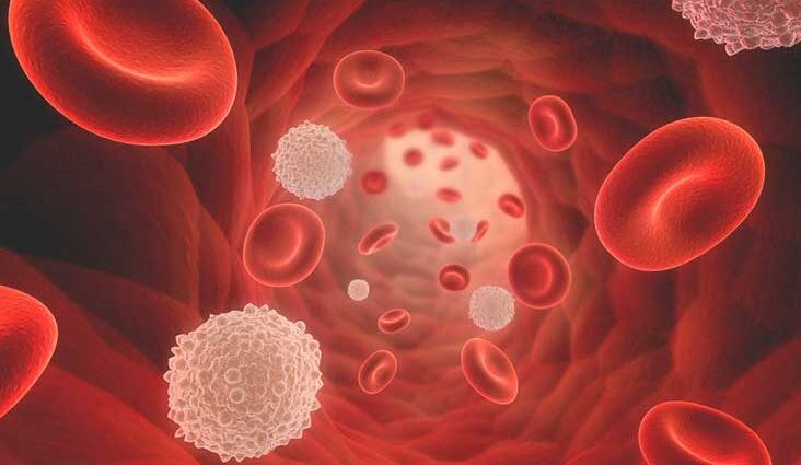 Leukopenia and other disorders of the blood composition. What are they characterized by and what do they testify to?