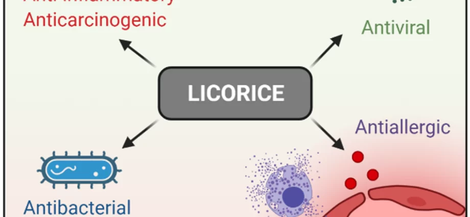 Licorice contains compounds that inhibit the development of melanoma