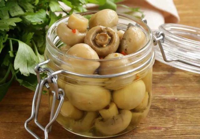 Lightly salted champignons in a hurry: the worlds instant recipes