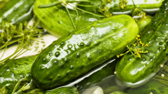 Lightly salted cucumbers: a recipe for cooking in cold water