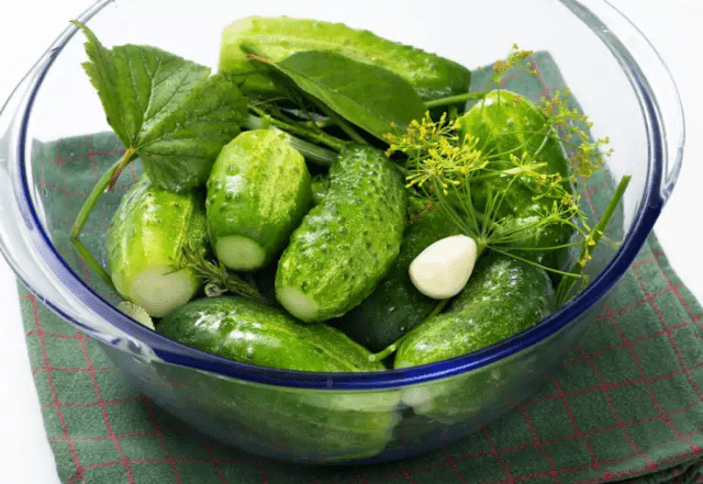 Lightly salted cucumbers: a recipe for cooking in cold water