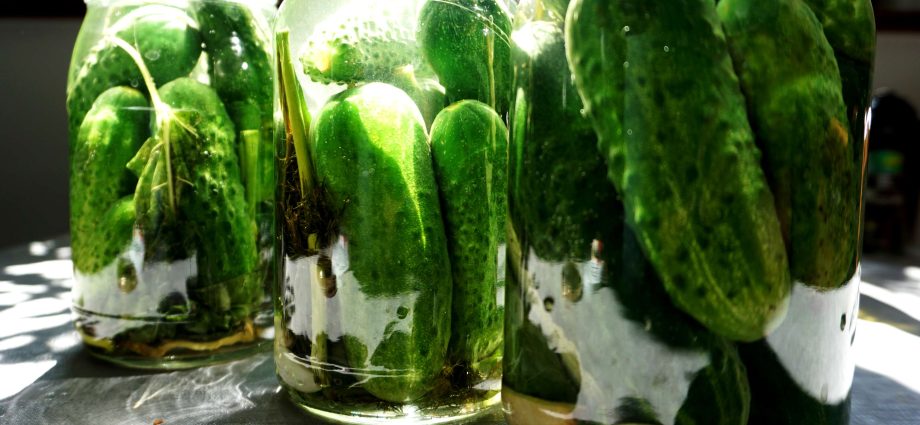 Lightly salted cucumbers: a recipe for cooking in cold water