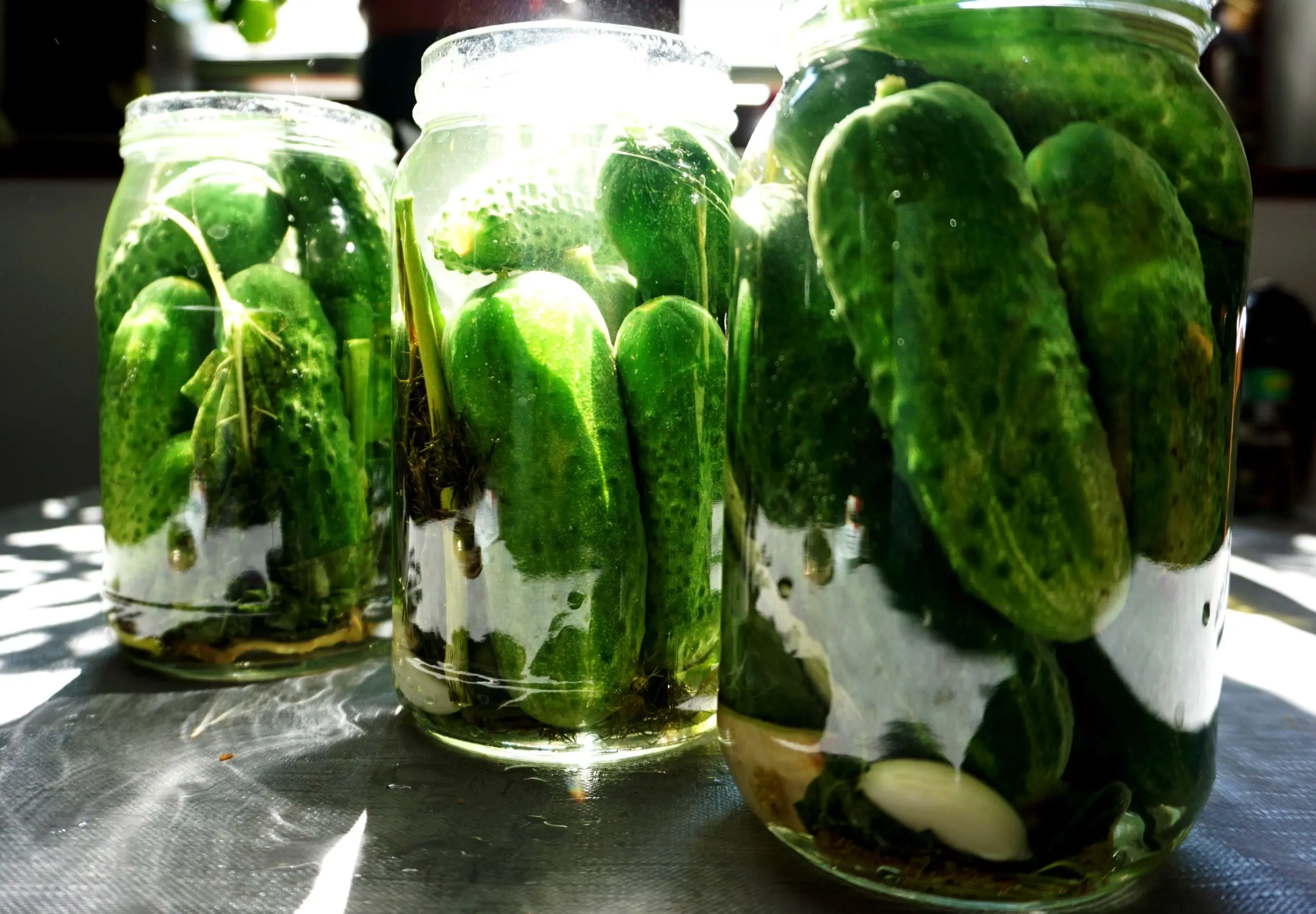 Lightly salted cucumbers: a recipe for cooking in cold water