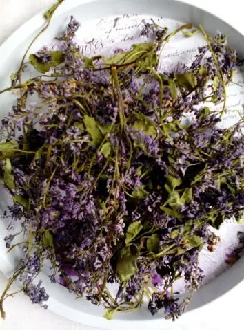 Lilac tincture on vodka, on alcohol: use in folk medicine for treatment, reviews