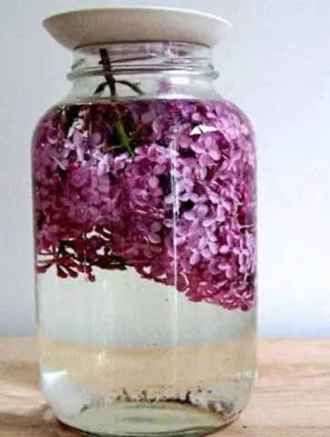 Lilac tincture on vodka: use for joints, for pain, recipes, reviews