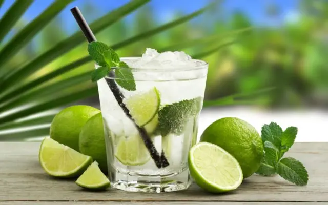 Lime Mint Drink: Homemade Lemonade Recipes