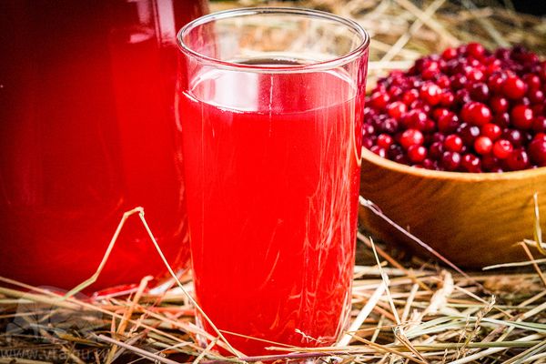 Lingonberry compote: how to cook a lingonberry drink from frozen, fresh berries, with apples, recipes for winter preparations