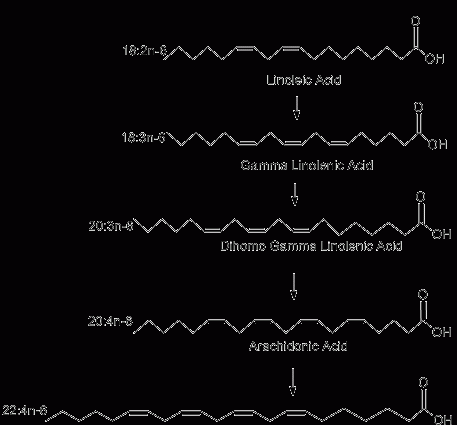 Linoleic acid