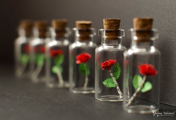 Little roses &#8211; miniature charm on the windowsill