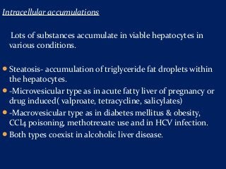 Liver biopsy &#8211; indications, course of the procedure, possible complications