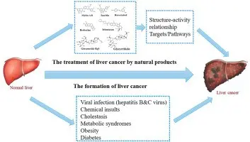 Liver cancer requires comprehensive treatment