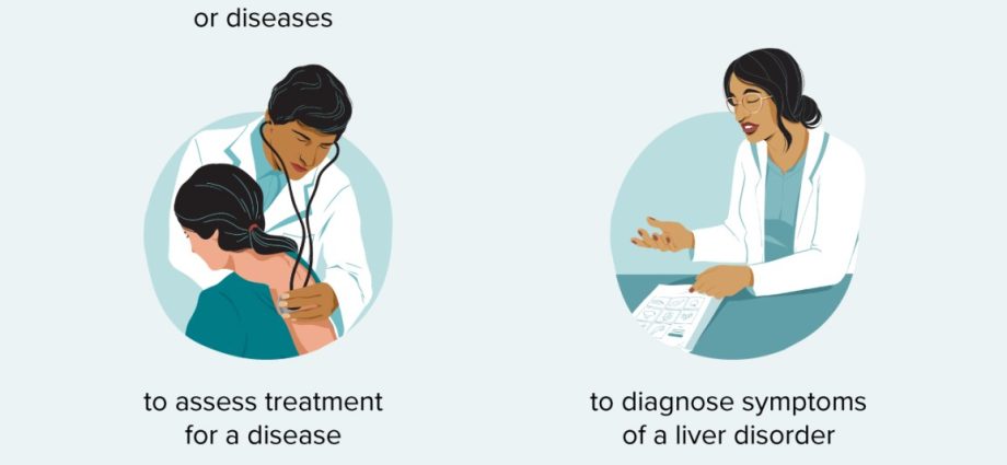 Liver diagnosis. Laboratory Tests, Part I.