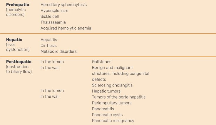 Liver examination &#8211; types and characteristics