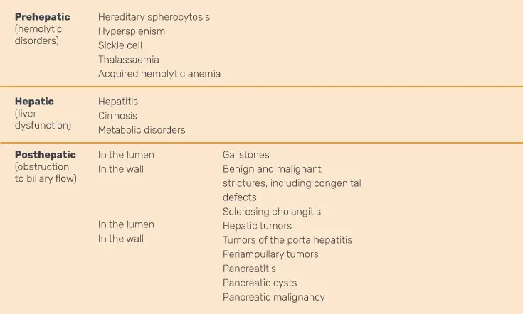 Liver examination &#8211; types and characteristics