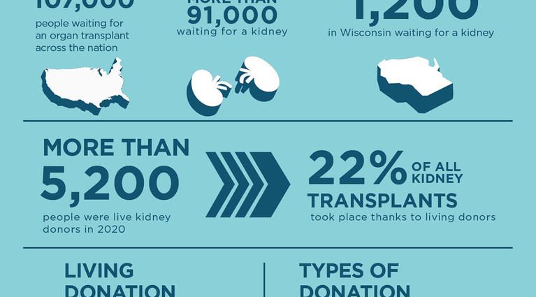 Living kidney donor &#8211; what is the qualification?