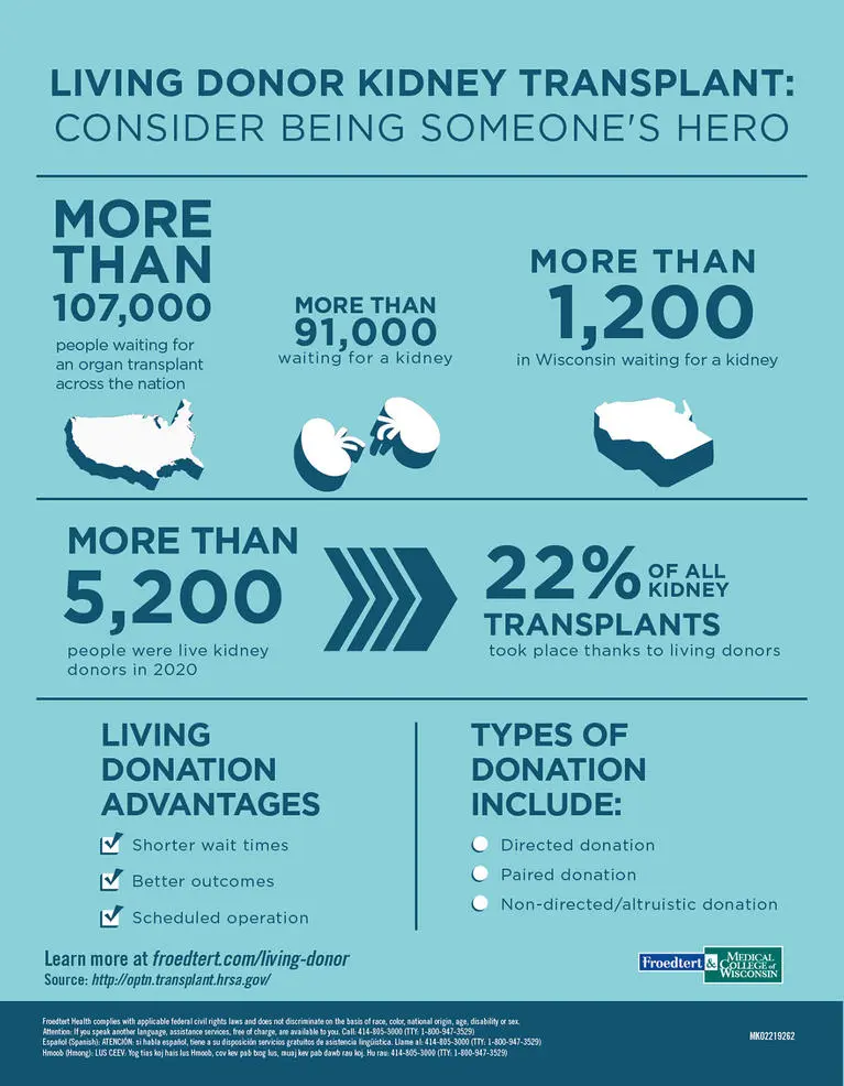 Living kidney donor &#8211; what is the qualification?