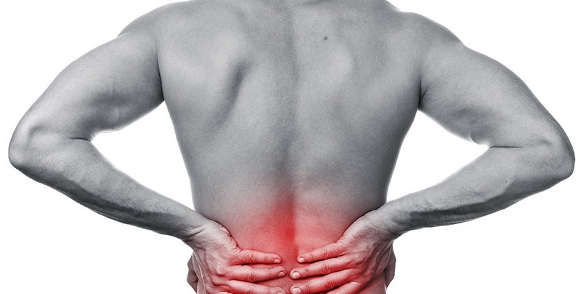 Loins &#8211; anatomy, diseases, diagnostics. Treatment of low back pain