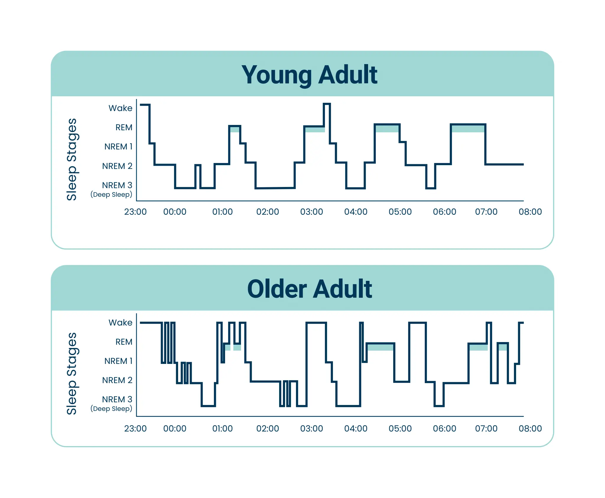 Long and deep night sleep extends life