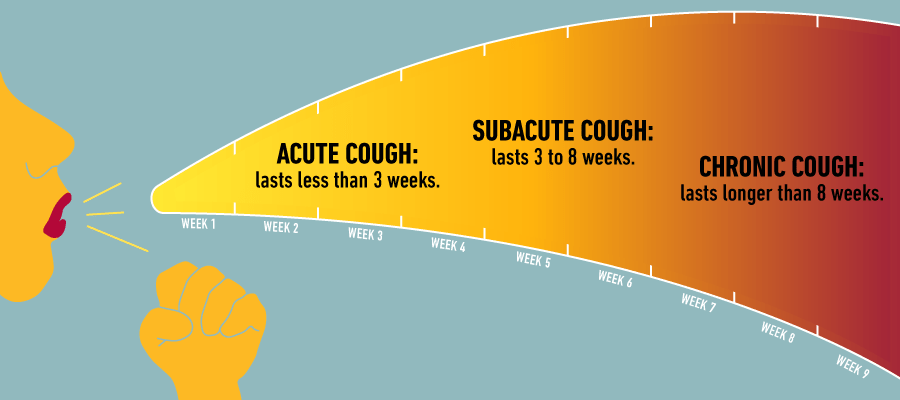 Long-lasting cough &#8211; where does it come from?