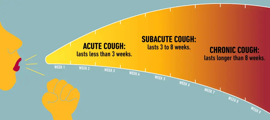 Long-lasting cough &#8211; where does it come from?