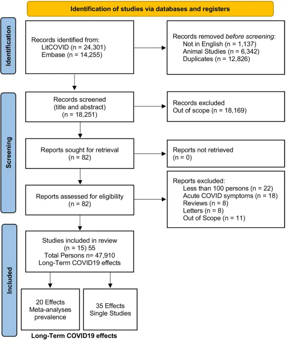 Long-term effects of SARS-CoV-2 coronavirus infection. How to prevent them?