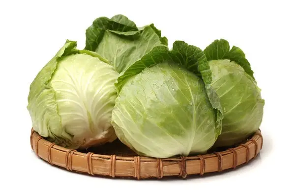 Long-term storage of cabbage all year round