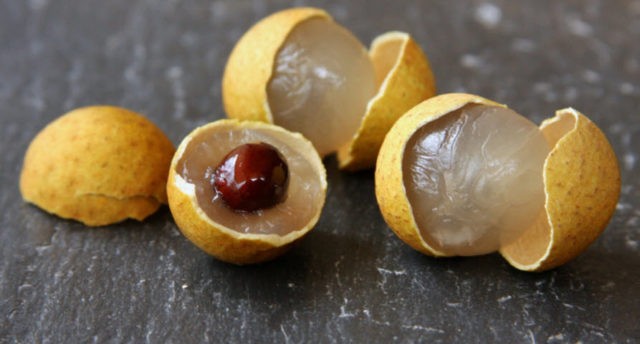 Longan: photo of fruit, plant, health benefits and harms