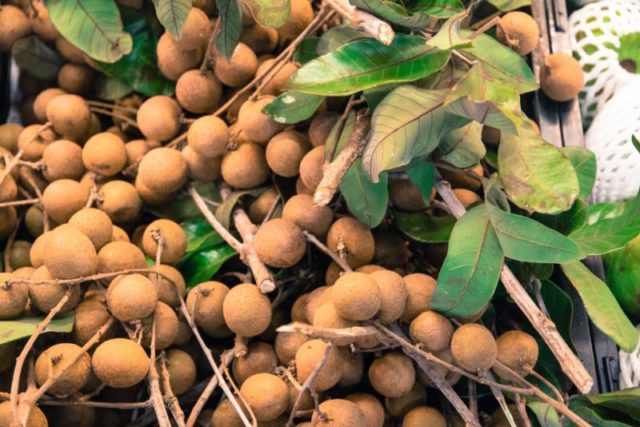 Longan: photo of fruit, plant, health benefits and harms